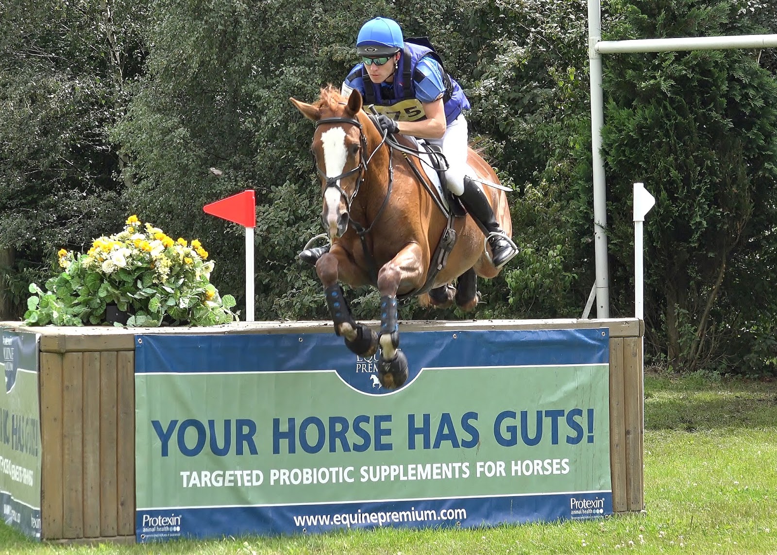 Little Downham Horse Trials (2) 2017