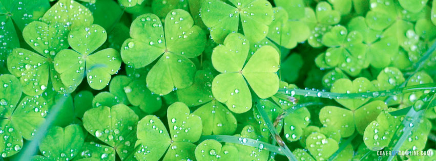 St Patrick's Day 2021 Pictures Images Free Photos, Funny HD Wallpaper