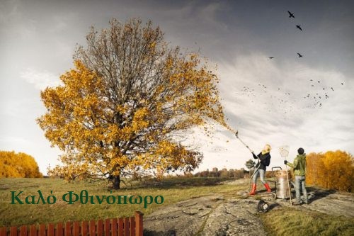 Αρχή του Φθινοπώρου - φωτογραφίες 🀨 Good autumn