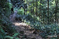 Air Terjun Gurok Beraye Belitung