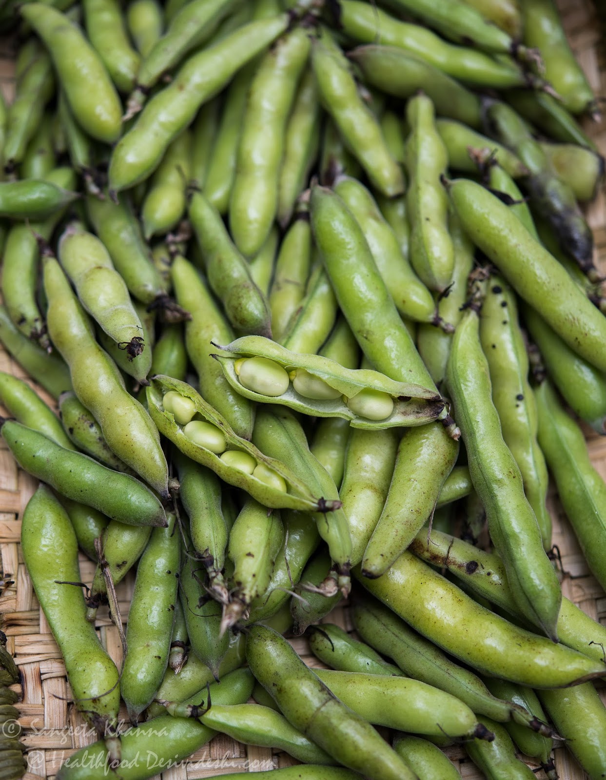 fava beans or bakla a bean rich in Ldopa recipe of bakla ki subzi