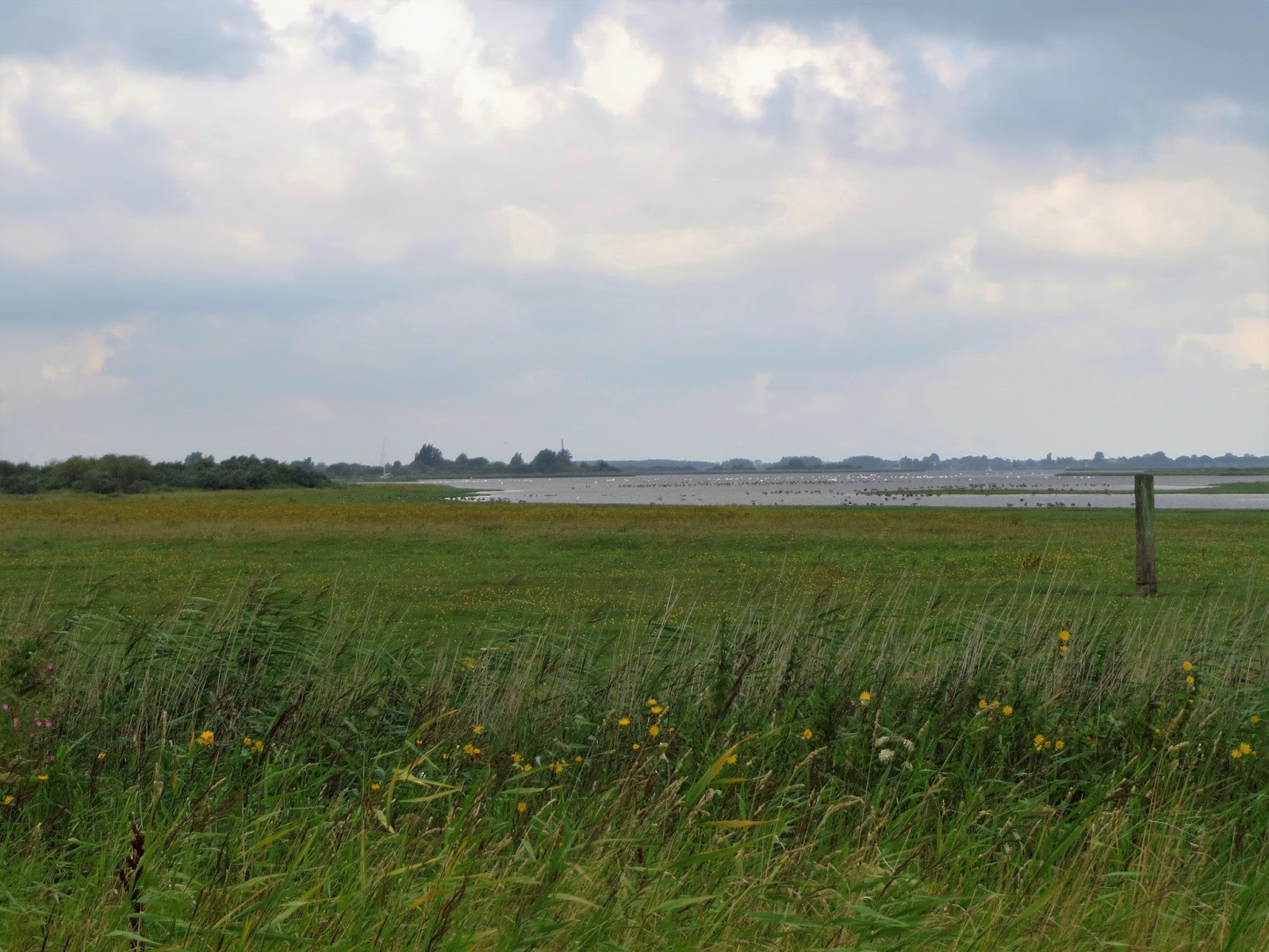 www.sannemeijeronderweg.nl: Van Lauwerszee tot Dollard tou, deel 1: het