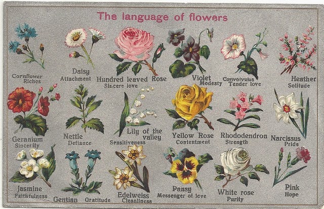 Art of Divination: Victorian language of flowers - Floriography