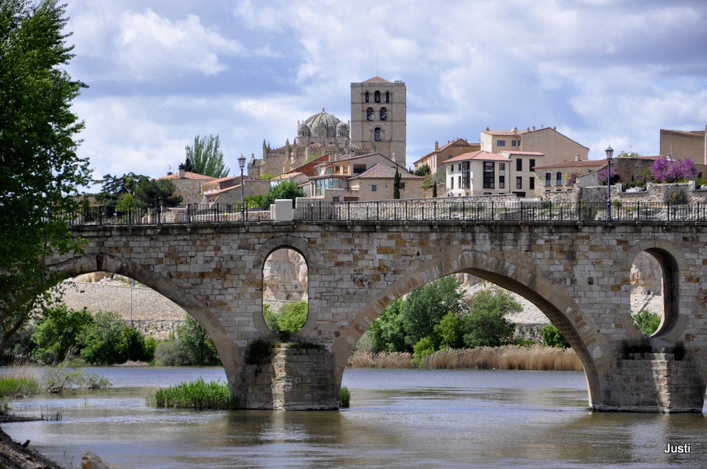 Puente de Piedra ZAMORA Y PROVINCIA LLENA DE HISTORIA