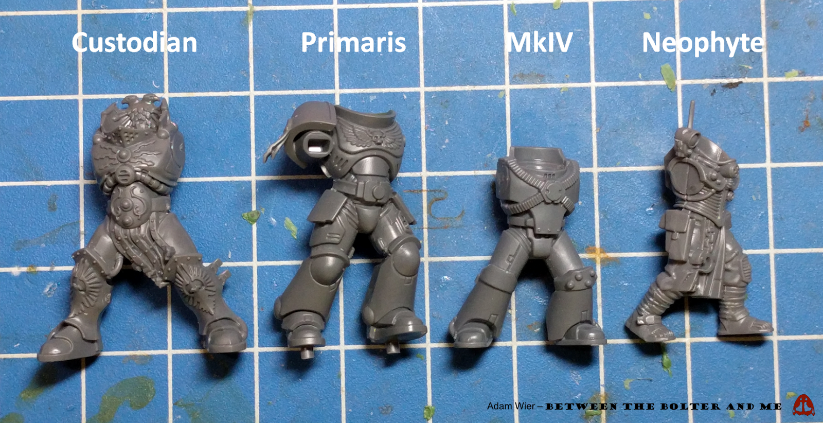 Primaris+body+size+comparison.png