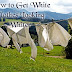 How to Get White Clothes Looking Whiter
