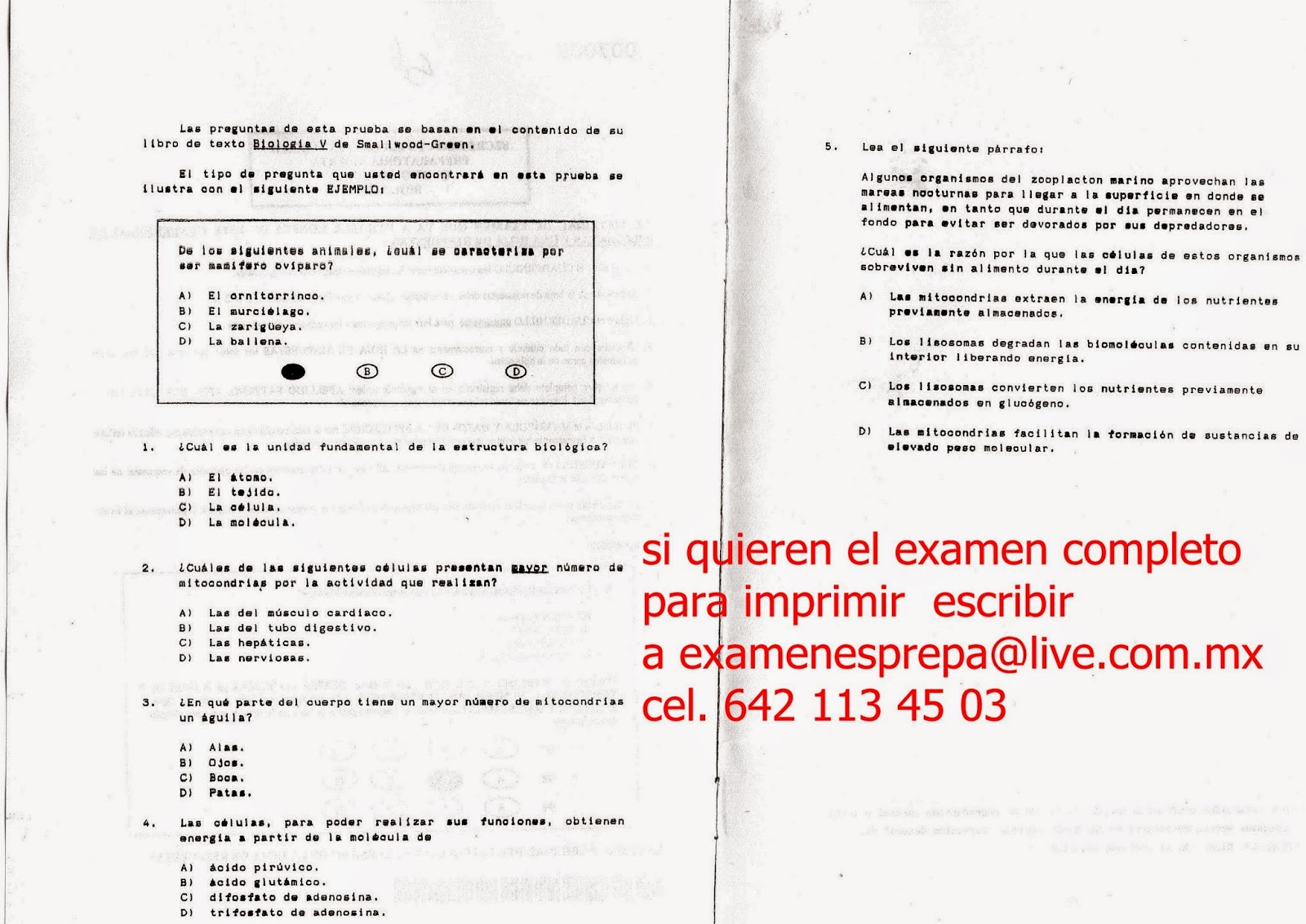 Respuestas Del Examen Modulo 16 Prepa Abierta examenesrealsprepa.blogspot.com