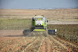 Claas Lexion 550 & Moresil GB 700 cuttebar