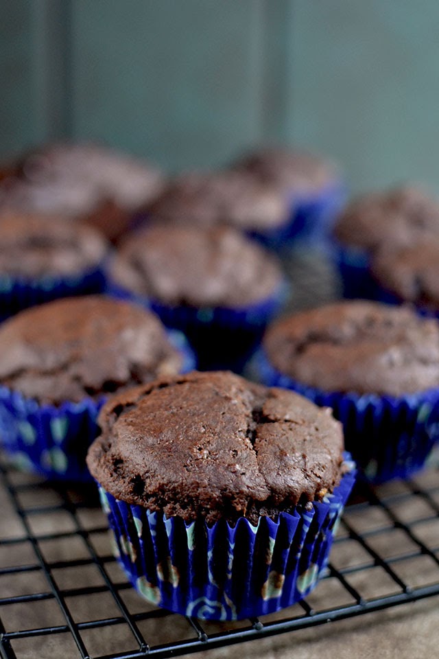 Chocolate Muffins with Malted Milk Powder