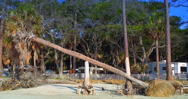 Hunting Island State Park in South Carolina with photo by Dear Miss Mermaid