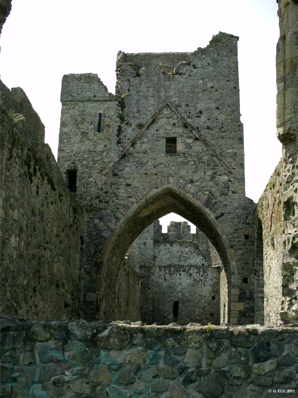 Ireland In Ruins Carlingford Abbey Co Louth
