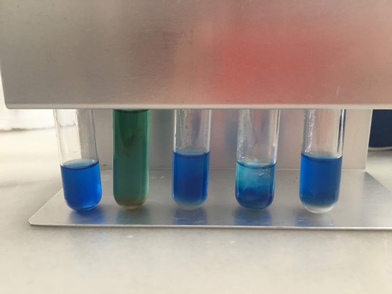 HIDRÓLISIS DEL ALMIDÓN CON AMILASA. ¿Y DESNATURALIZADA?