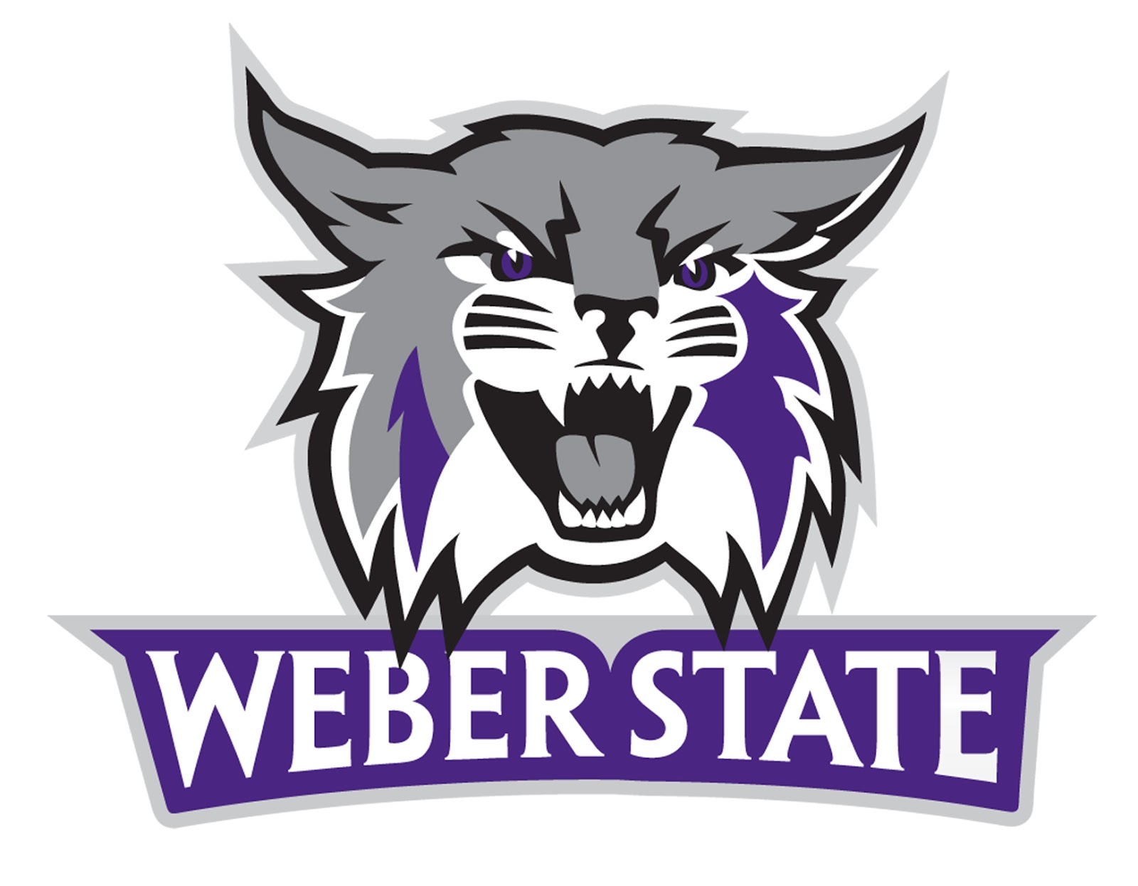 IMPACT BJJ TOURNAMENTS: WEBER STATE UNIVERSITY