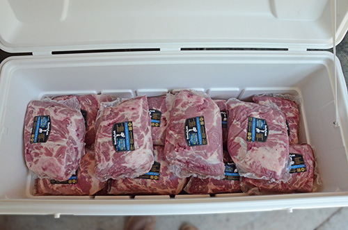 An Igloo 150 will hold 3 cases of pork butts and enough ice for several days.