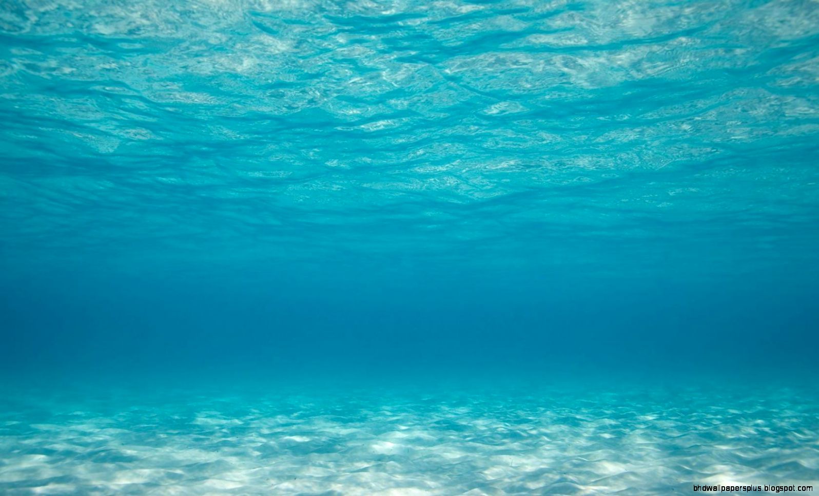 underwater wallpaper