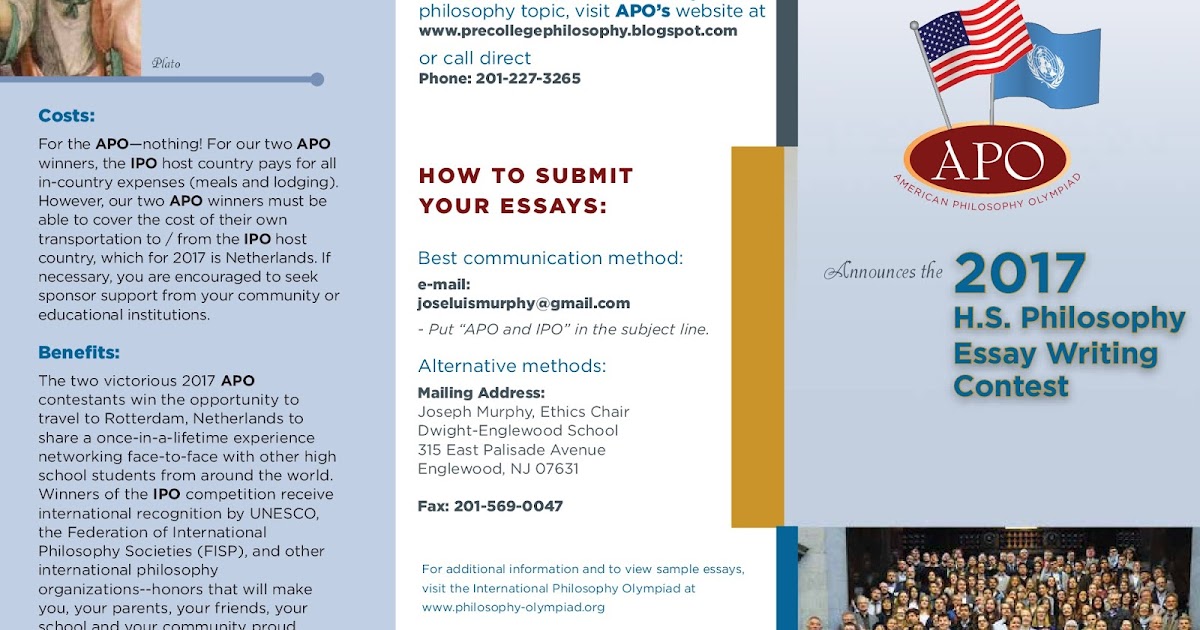 Essay writing brochure