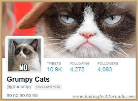 Grumpy Cats twitter follow | www.BakingInATornado.com