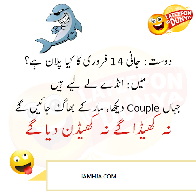 Funny Jokes in Urdu