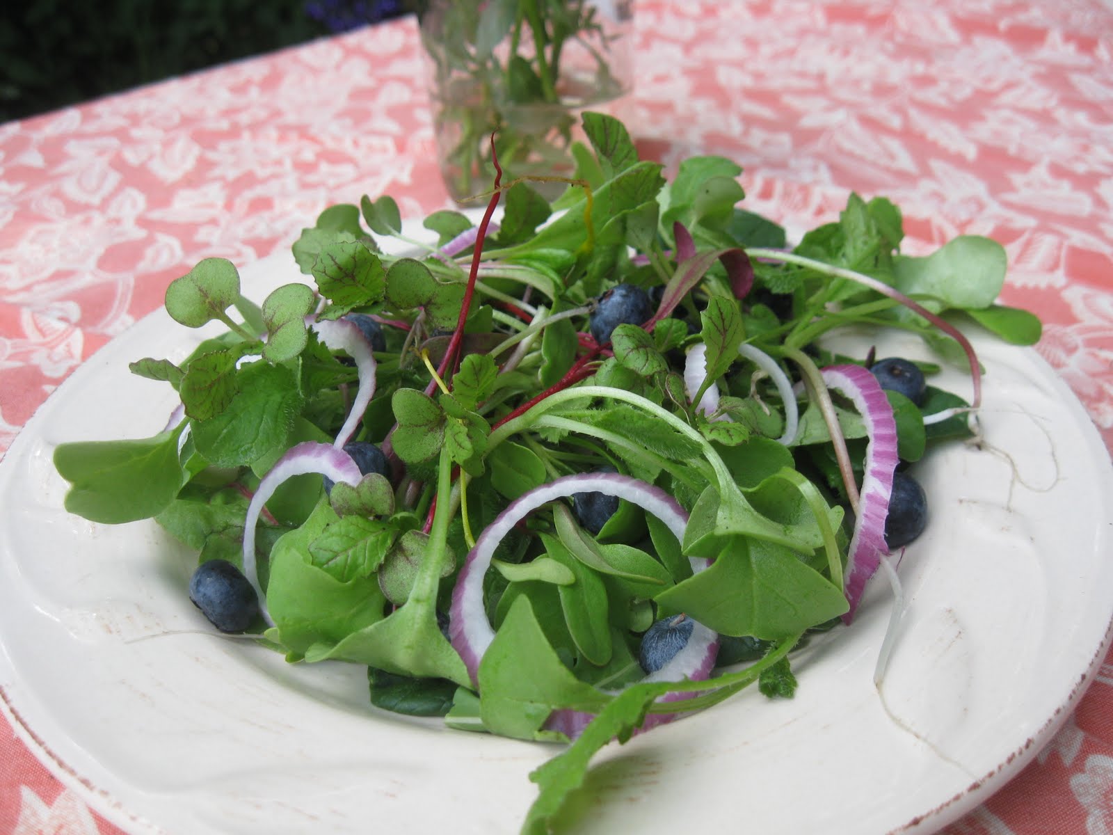 Dandelion Vegan Blog Micro Greens Salad