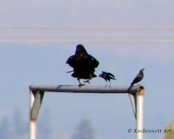 lecturing birds on flying review 19