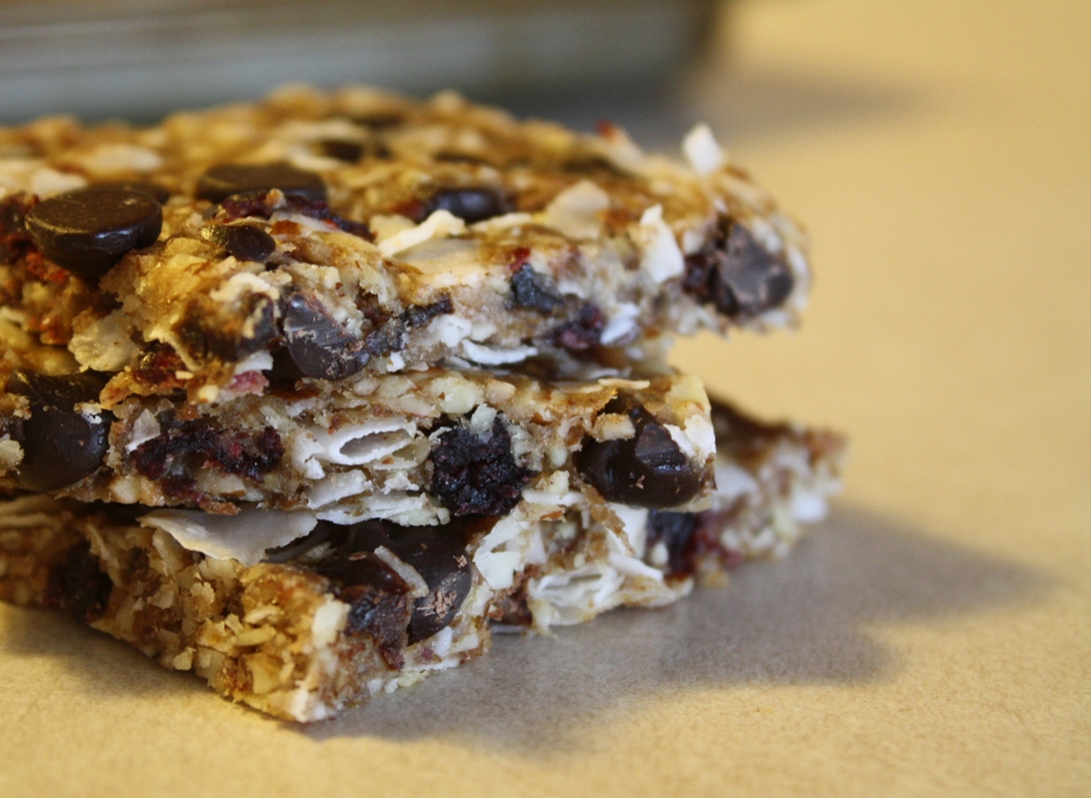 Of Winds and Water Paleo Granola Bars