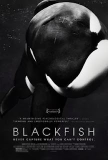 CNN Blackfish SeaWorld Killer Whale Orca Documentary Poster CNN Blackfish SeaWorld Killer Whale Orca Documentary Poster