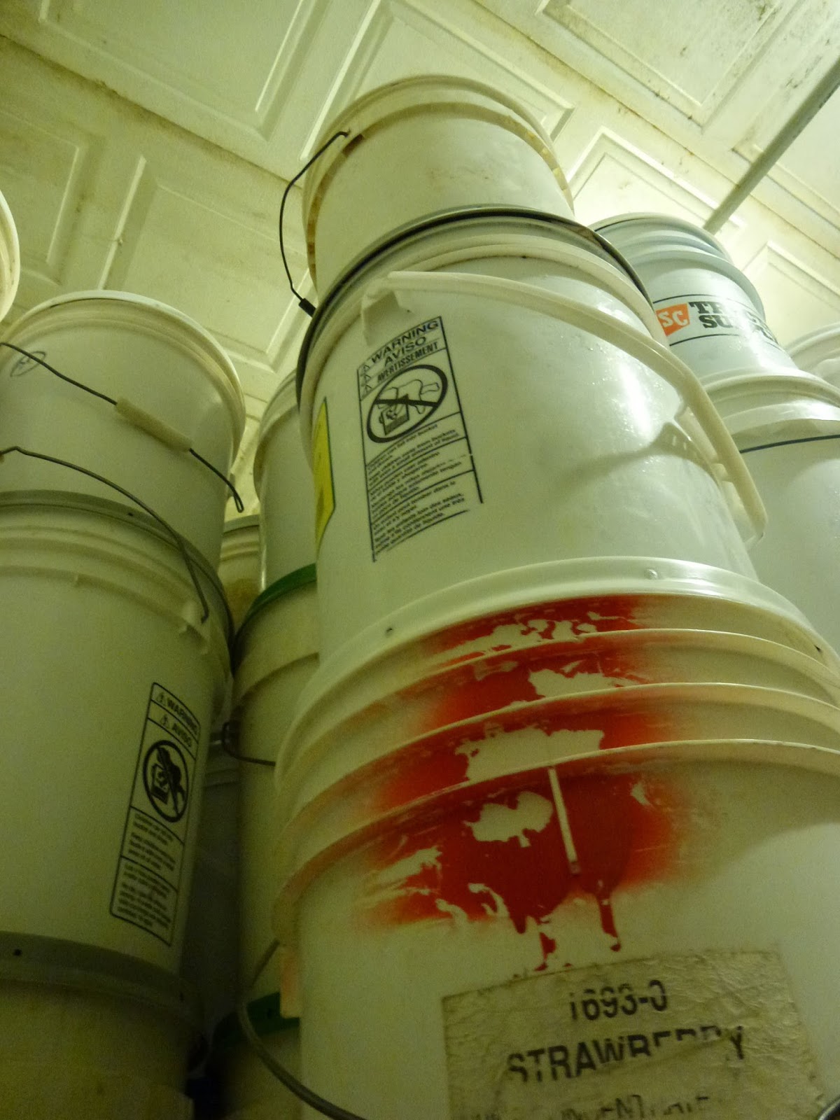 Growing Up Mormish White Wheat into 5Gallon Buckets