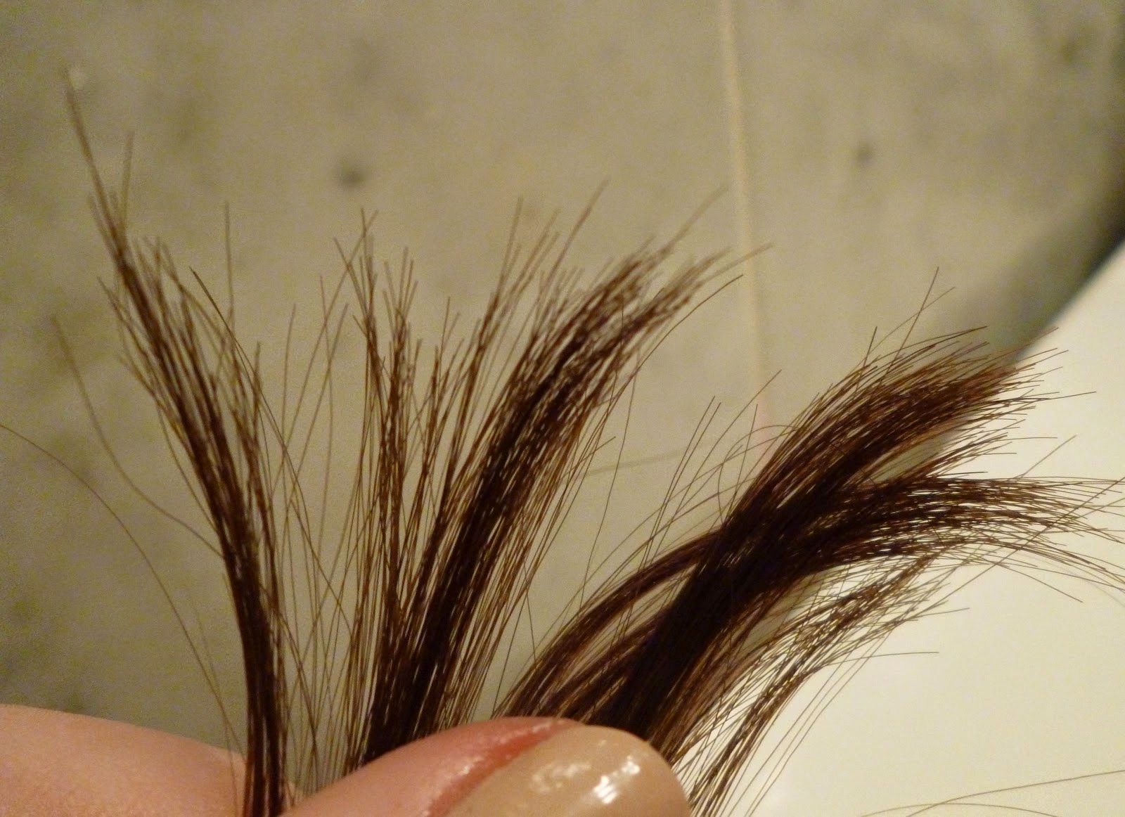 Как восстановить секущиеся волосы. Посеченные волосы. Длинные секущиеся волосы. Секущиеся кончики волос. Секущиеся концы волос.