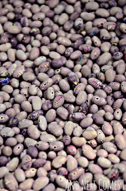 How to dye beans for sensory play that are lavender scented