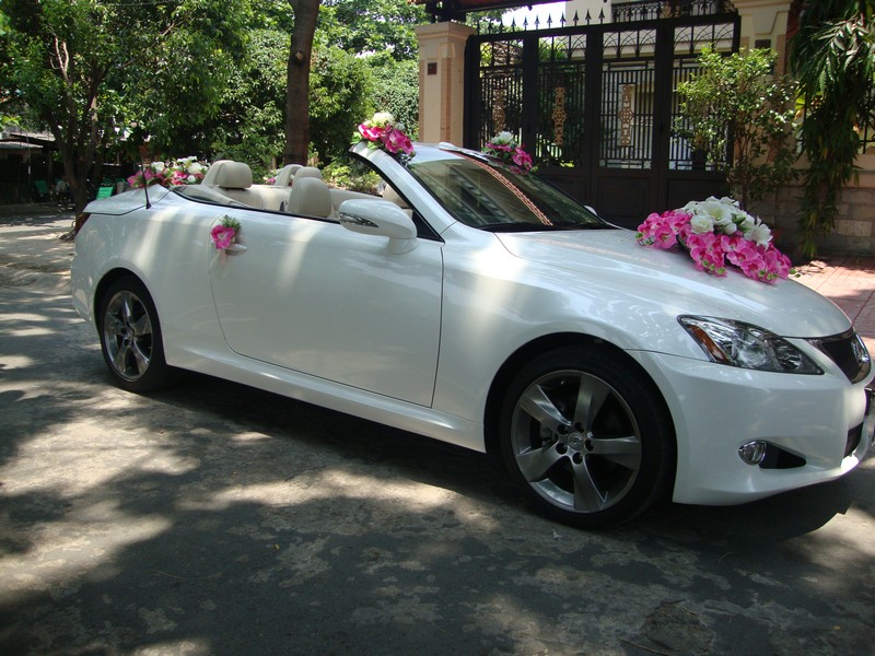 Bộ sưu tập xe hoa cưới màu trắng: Xe hoa Lexus IS 250C 2 cửa mui trần