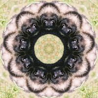 Kaleidoskops, Mandala