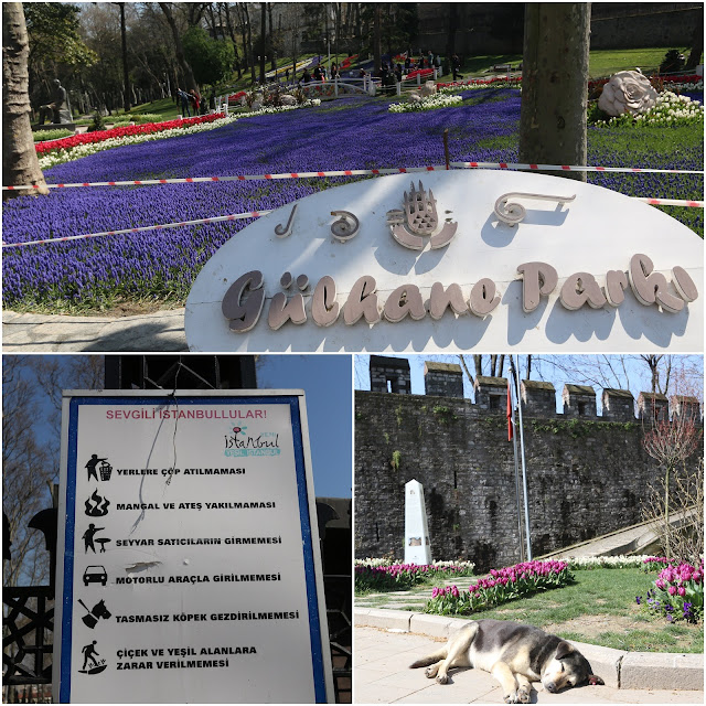 Pet friendly park at Gulhane Park which is located behind Topkapi Palace and near to Archeological Museum in Istanbul, Turkey Pet friendly park at Gulhane Park which is located behind Topkapi Palace and near to Archeological Museum in Istanbul, Turkey