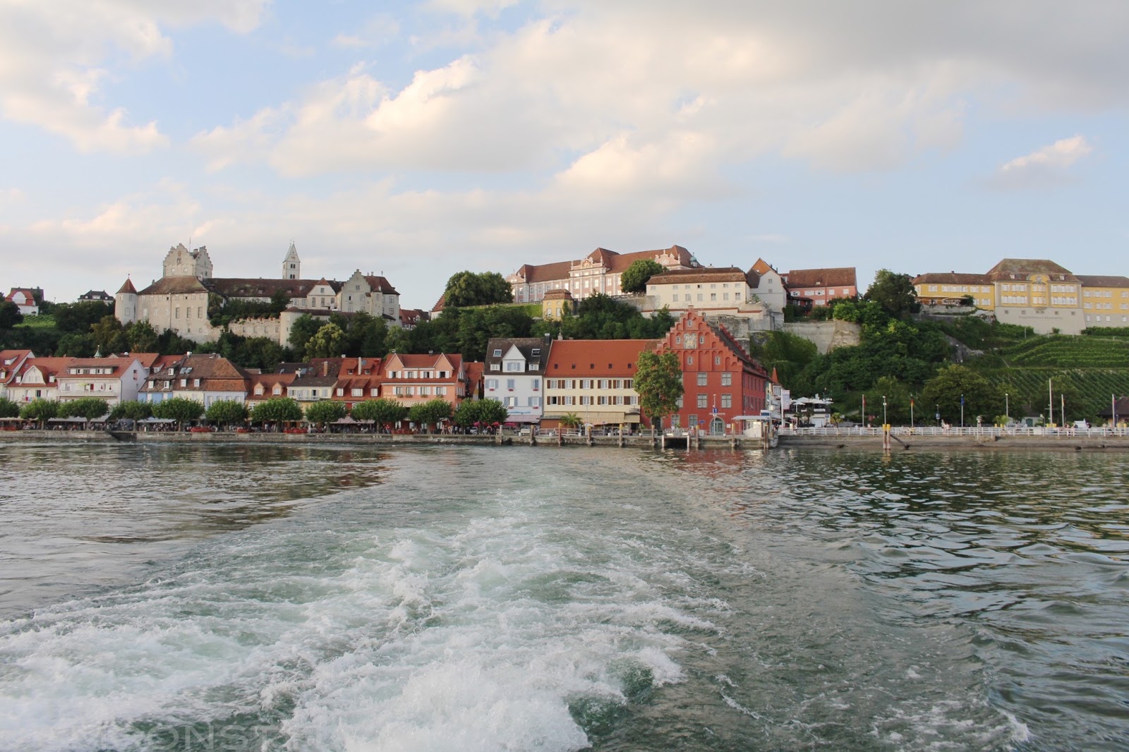 Model Fire Tree And Other Trees Delos Angeles Photography
