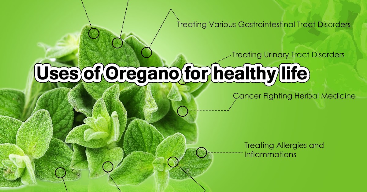Uses of Oregano for healthy life Natural Remedies And Treatment