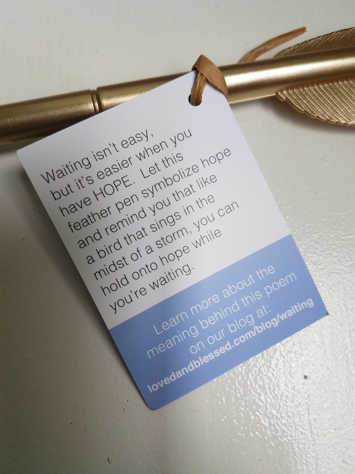 The Abcd Diaries 11 01 2017 12 01 2017