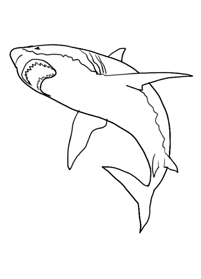 shark coloring pages coloring.filminspector.com