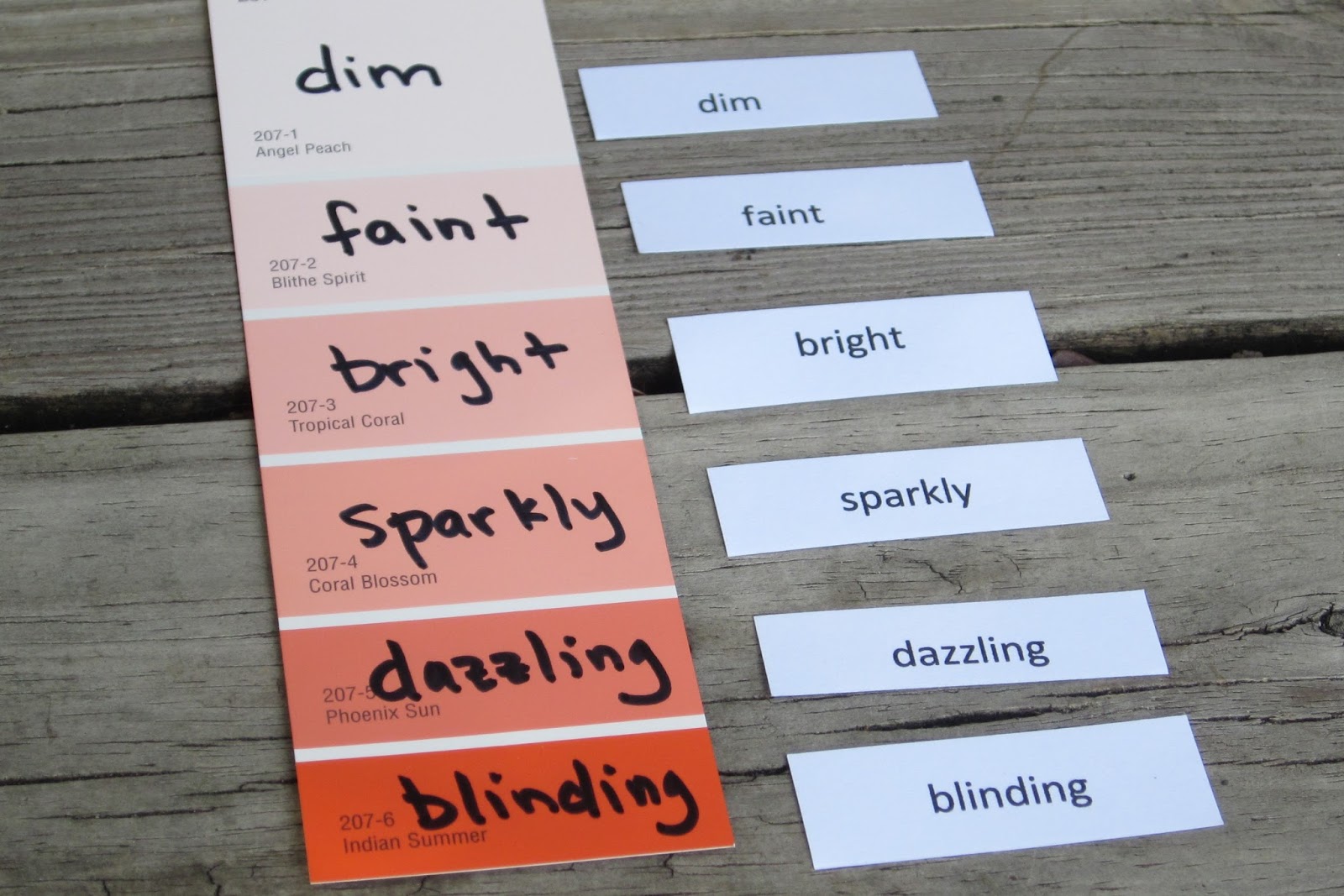 Classroom Freebies Too Shades of Meaning Vocabulary Activity