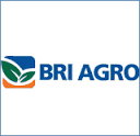 Logo PT Bank BRI Agroniaga