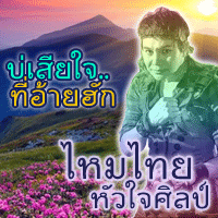 บ่เสียใจที่อ้ายฮัก cover