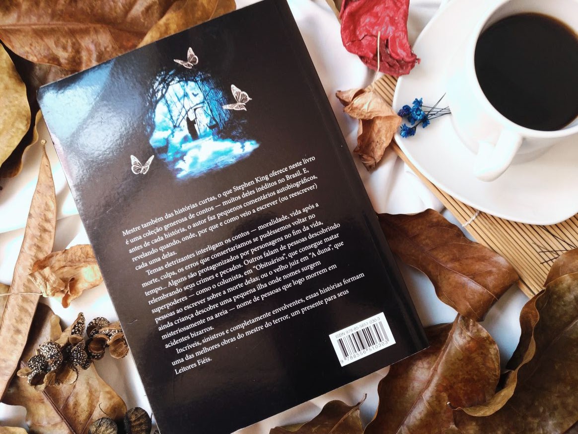 RESENHE DE LIVRO O BAZAR DOS SONHOS RUINS - STEPHEN KING BLOG COISAS DE MINEIRA