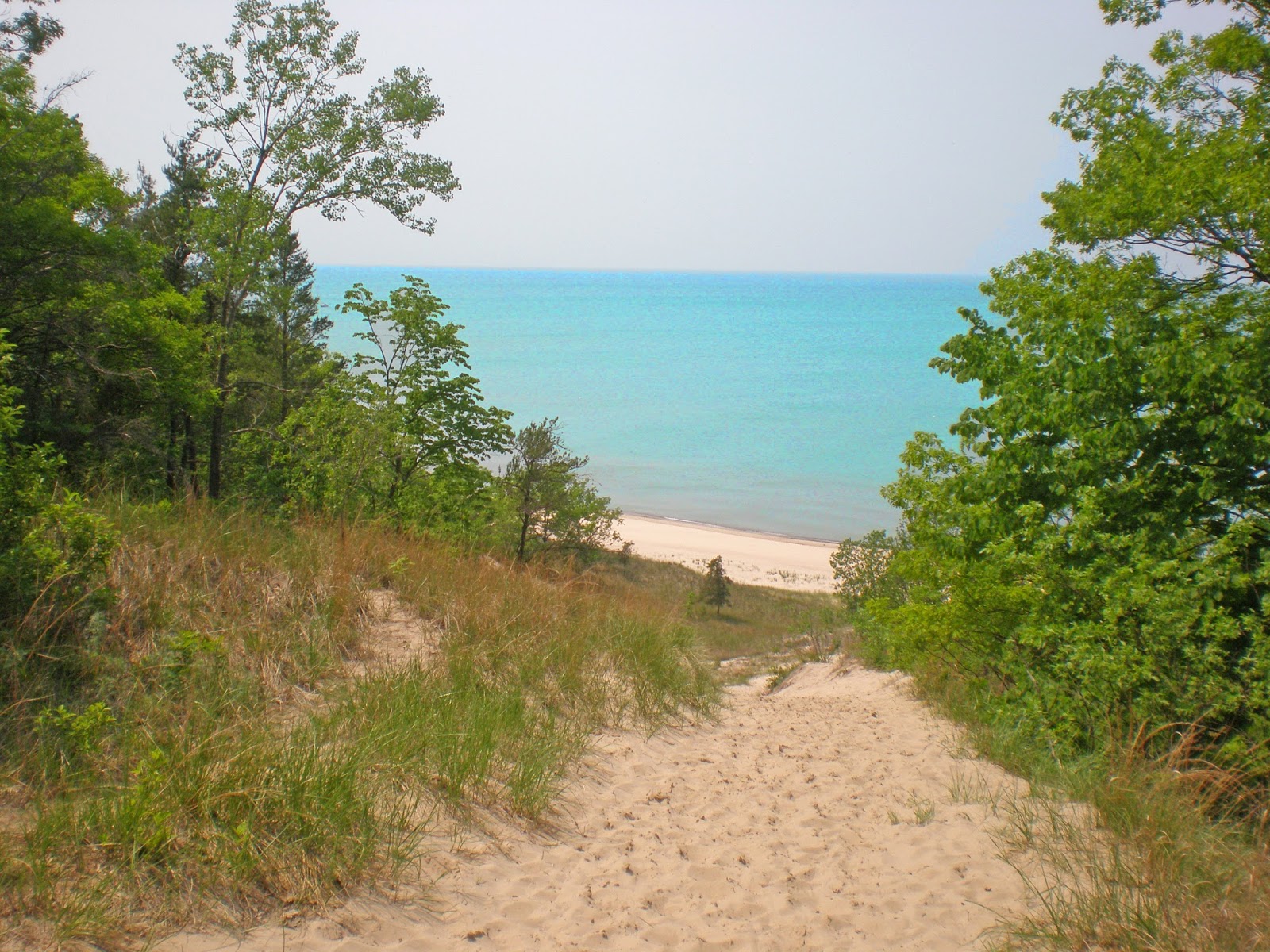 INDIANA DUNES NATIONAL LAKESHORE ADAM HAYDOCK