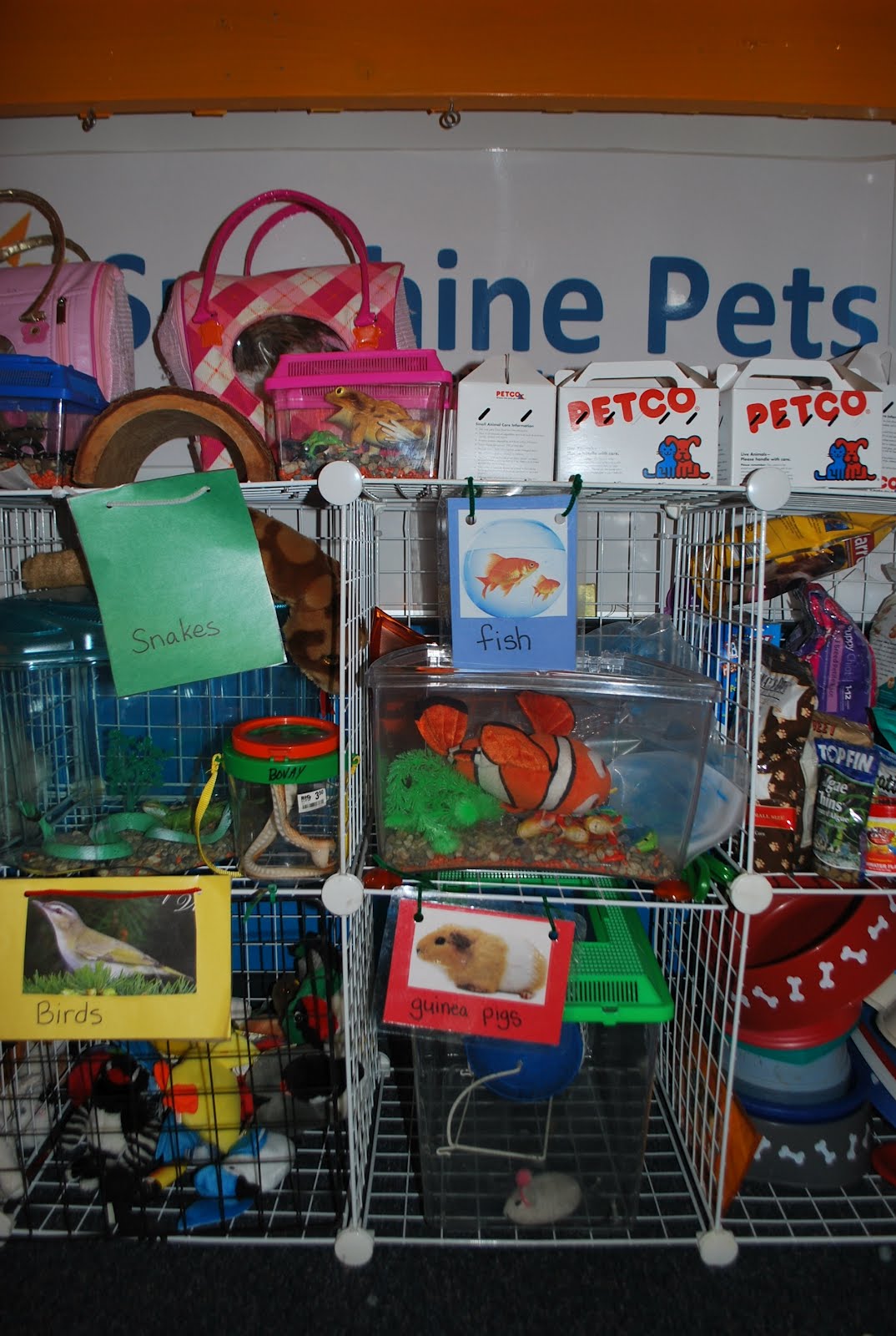 Familylicious Preschool Projects: Vet/ Pet Store Imaginary Play