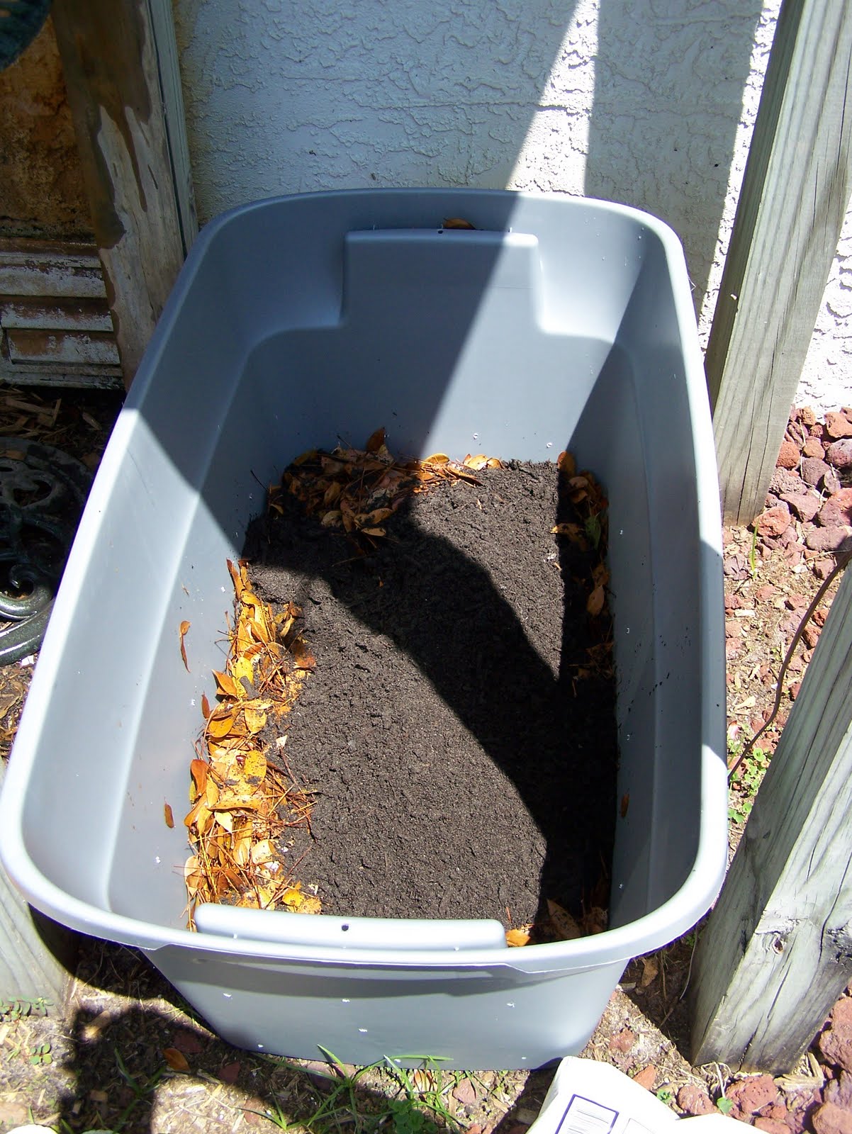 Constructing a Compost Bin, Planting a Pineapple, and SpirulinaHands
