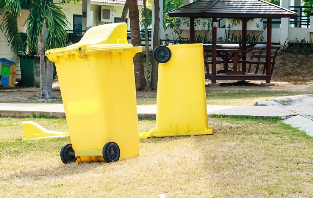 Points to Clarify Before Asking for an Extra Bin Hire Aussie’s Mag