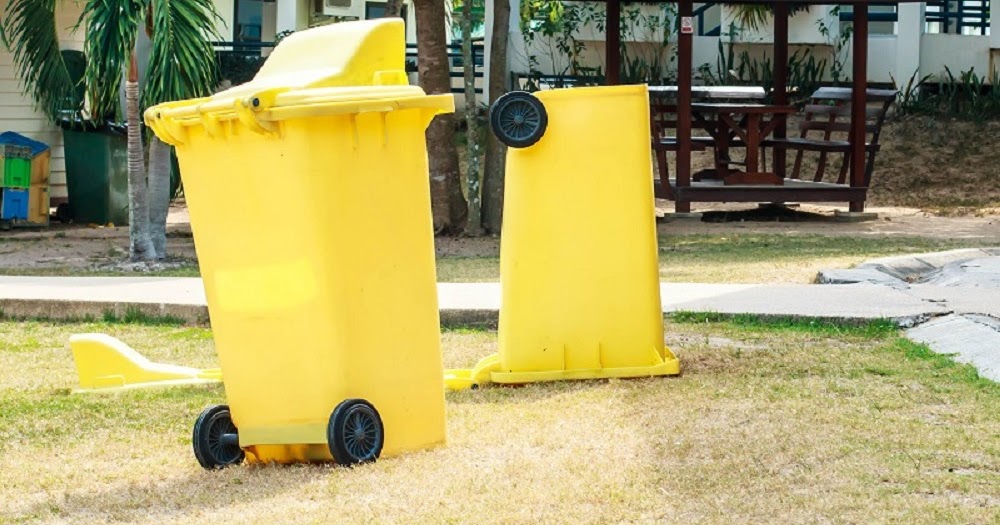 Points to Clarify Before Asking for an Extra Bin Hire Aussie’s Mag