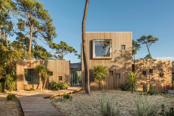 The perfect replica of the pine wood