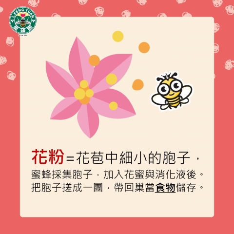 愛蜂園,台灣養蜂場,健康伴手禮,天然蜂蜜,蜂花粉,蜂蜜醋,蜂蜜蛋糕,蜂王乳,蜂王漿,台灣養蜂協會會員,客製化禮盒,台灣蜂蜜,純蜂蜜,蜂蜜檸檬,產品經SGS檢驗合格, 愛蜂園,台灣養蜂場,健康伴手禮,天然蜂蜜,蜂花粉,蜂蜜醋,蜂蜜蛋糕,蜂王乳,蜂王漿,台灣養蜂協會會員,客製化禮盒,台灣蜂蜜,純蜂蜜,蜂蜜檸檬,產品經SGS檢驗合格,