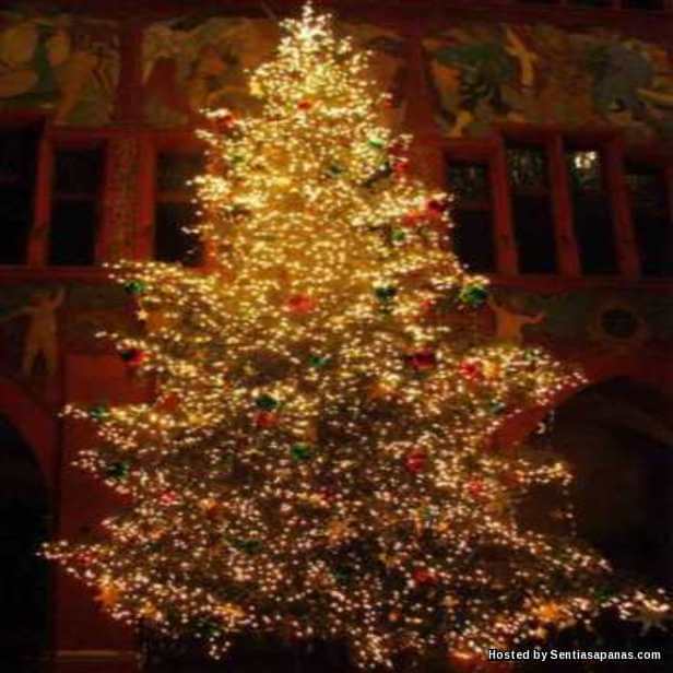 Pokok Krismas - Christmas Tree