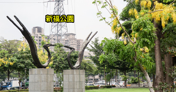 台中太平|新福公園|阿勃勒|紫薇花|水雉裝置藝術|綠草坪|籃球場|運動休閒 台中太平|新福公園|阿勃勒|紫薇花|水雉裝置藝術|綠草坪|籃球場|運動休閒