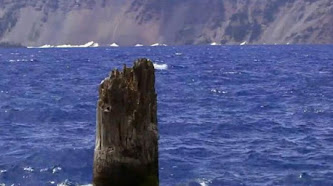 Misterius, Batang Pohon Ini Terapung di Danau Selama 120 Tahun!